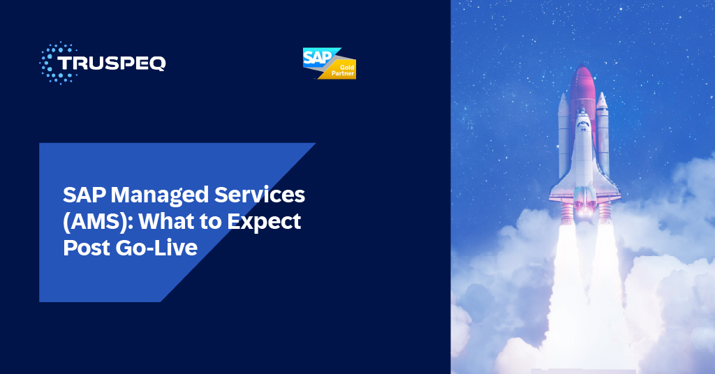 SAP Managed Services (AMS): What To Expect Post Go-Live