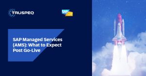 SAP Managed Services (AMS): What To Expect Post Go-Live
