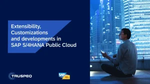 Extensibility, Customizations And Developments In SAP S/4HANA Public Cloud